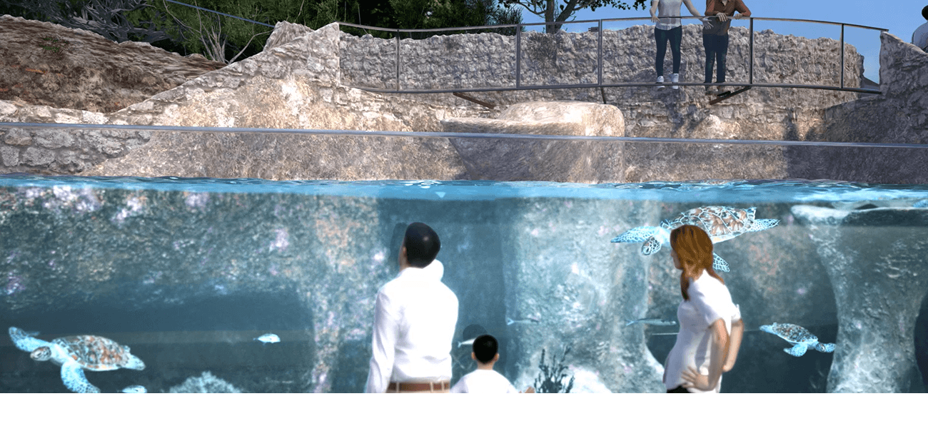 Images de synthèse du futur bassin de convalescence des tortues