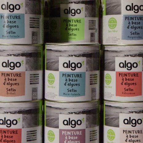 Algo - peinture à base d'algues